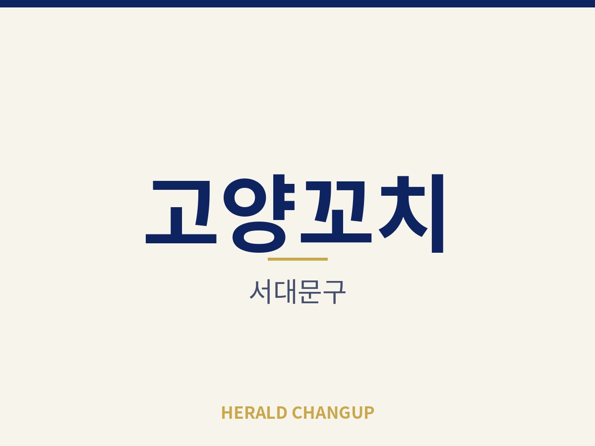 [서대문구][고양꼬치] 직원 체계가 갖춰져 관리 중심으로 운영하는 매장입니다